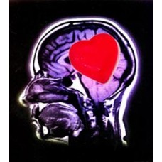 CURSO: APLICACIÓN DOCENTE DE LA INTELIGENCIA EMOCIONAL EN EDUCACIÓN